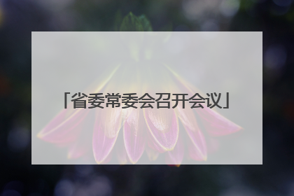省委常委会召开会议